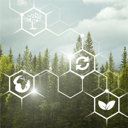 O nama Primusmed (3)