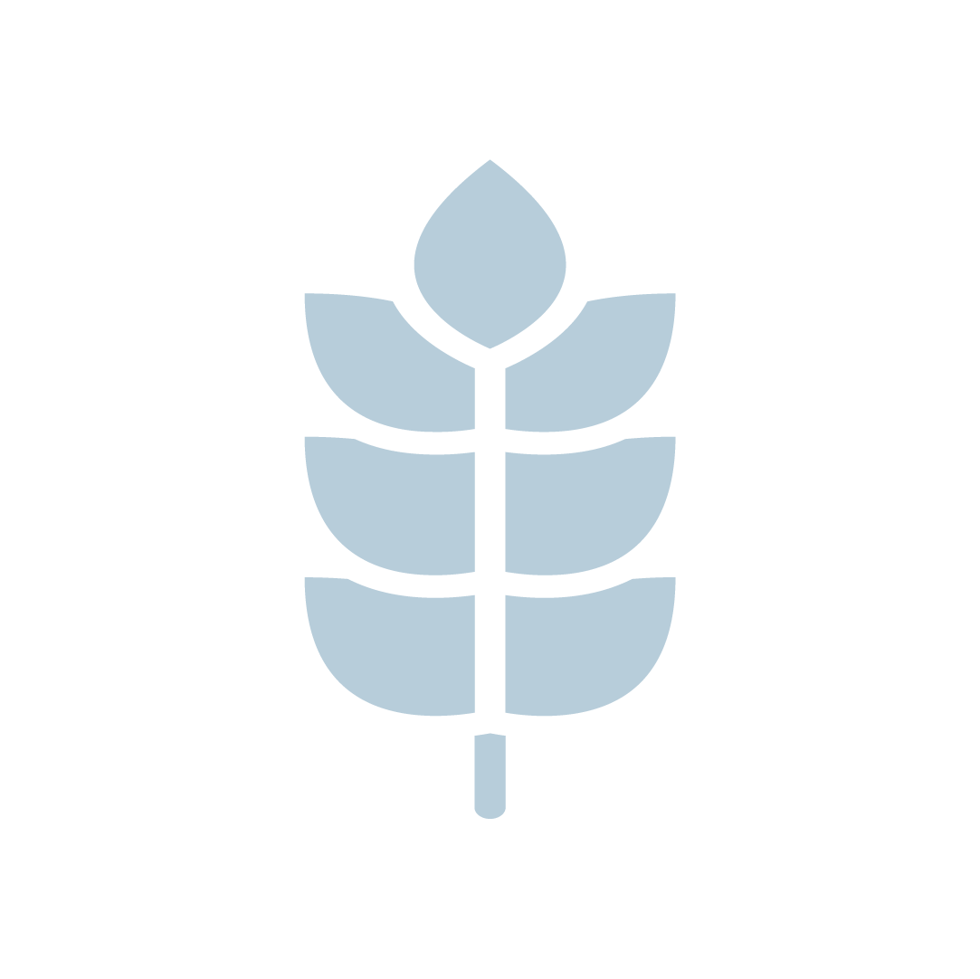 Primusmed Osobine (3)